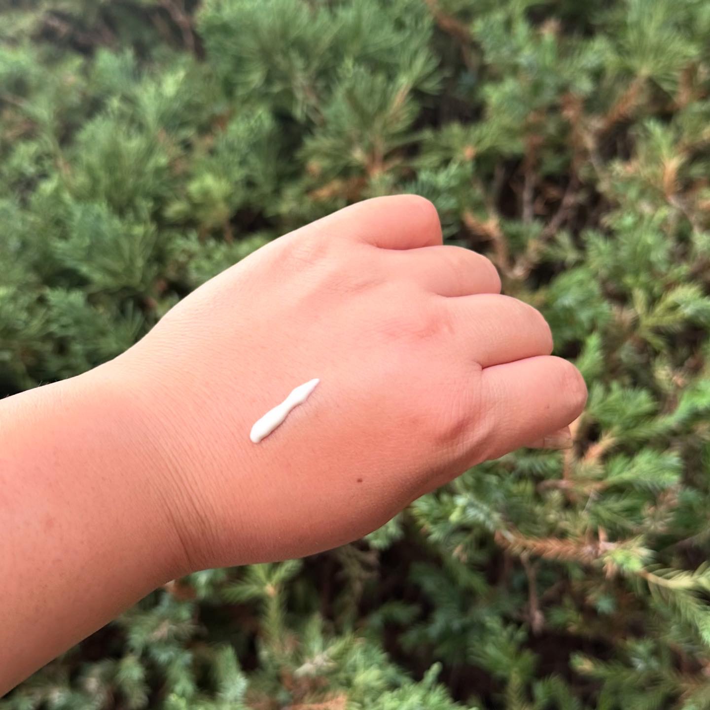 サミュ PHセンシティブサンクリーム/SAM'U/日焼け止めクリームを使ったクチコミ（3枚目）