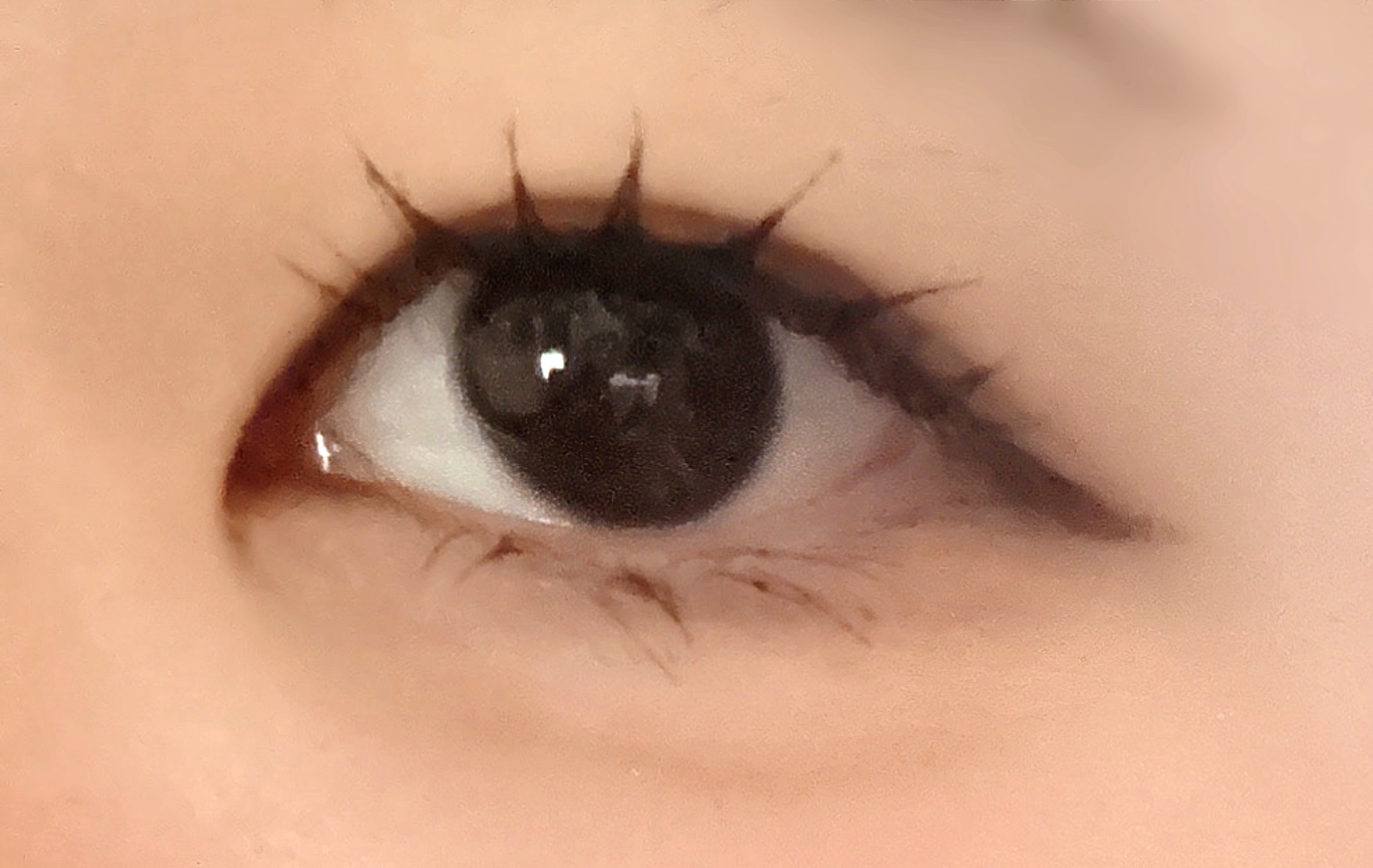 ラッシュファイター　カールアッパーマスカラ　Lv50/ラッシュファイター/マスカラを使ったクチコミ（2枚目）