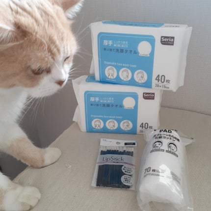 使い捨て リップスティック 20P/DAISO/メイクブラシを使ったクチコミ(8枚目)