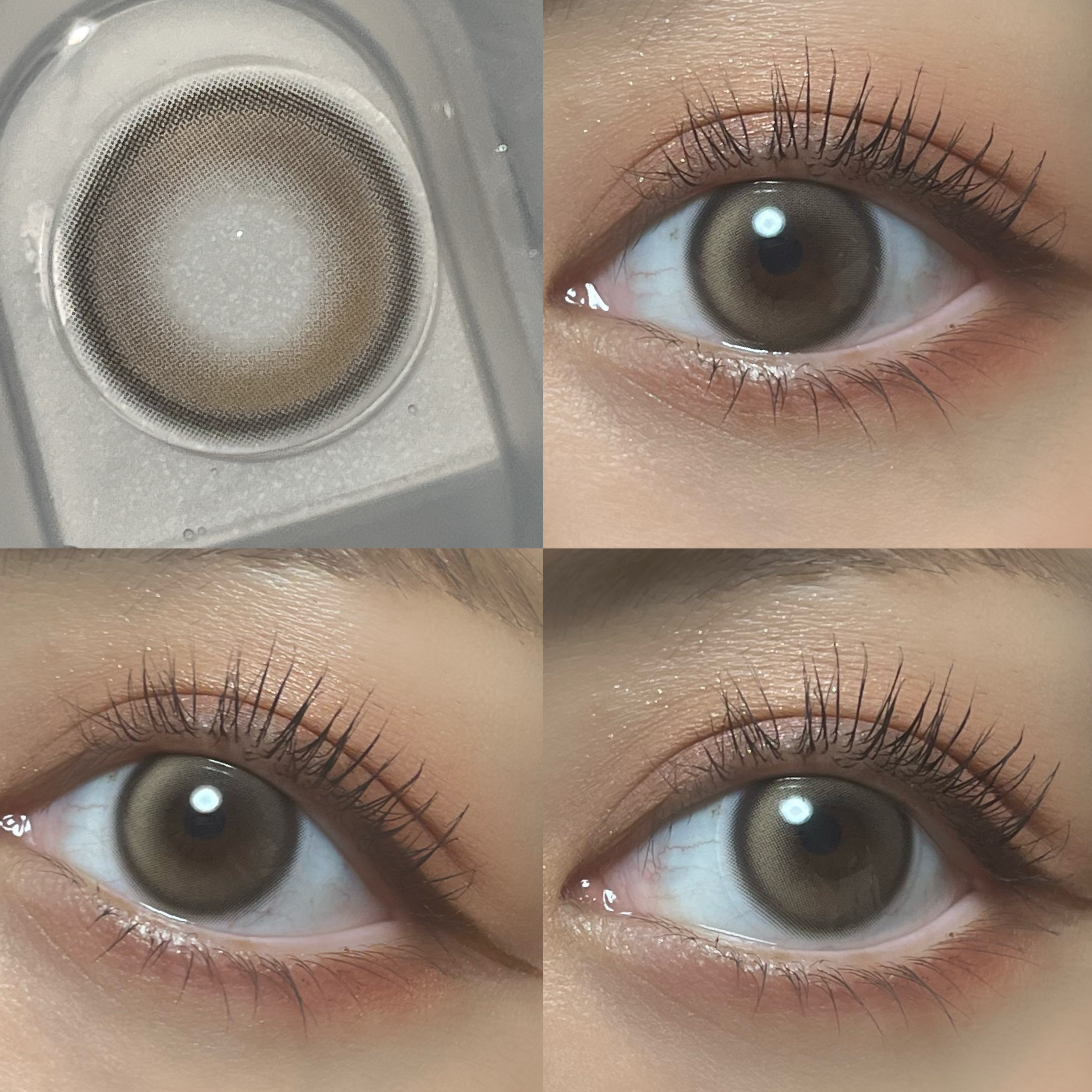 MUSE 1month/OLENS/１ヶ月（１MONTH）カラコンを使ったクチコミ（3枚目）