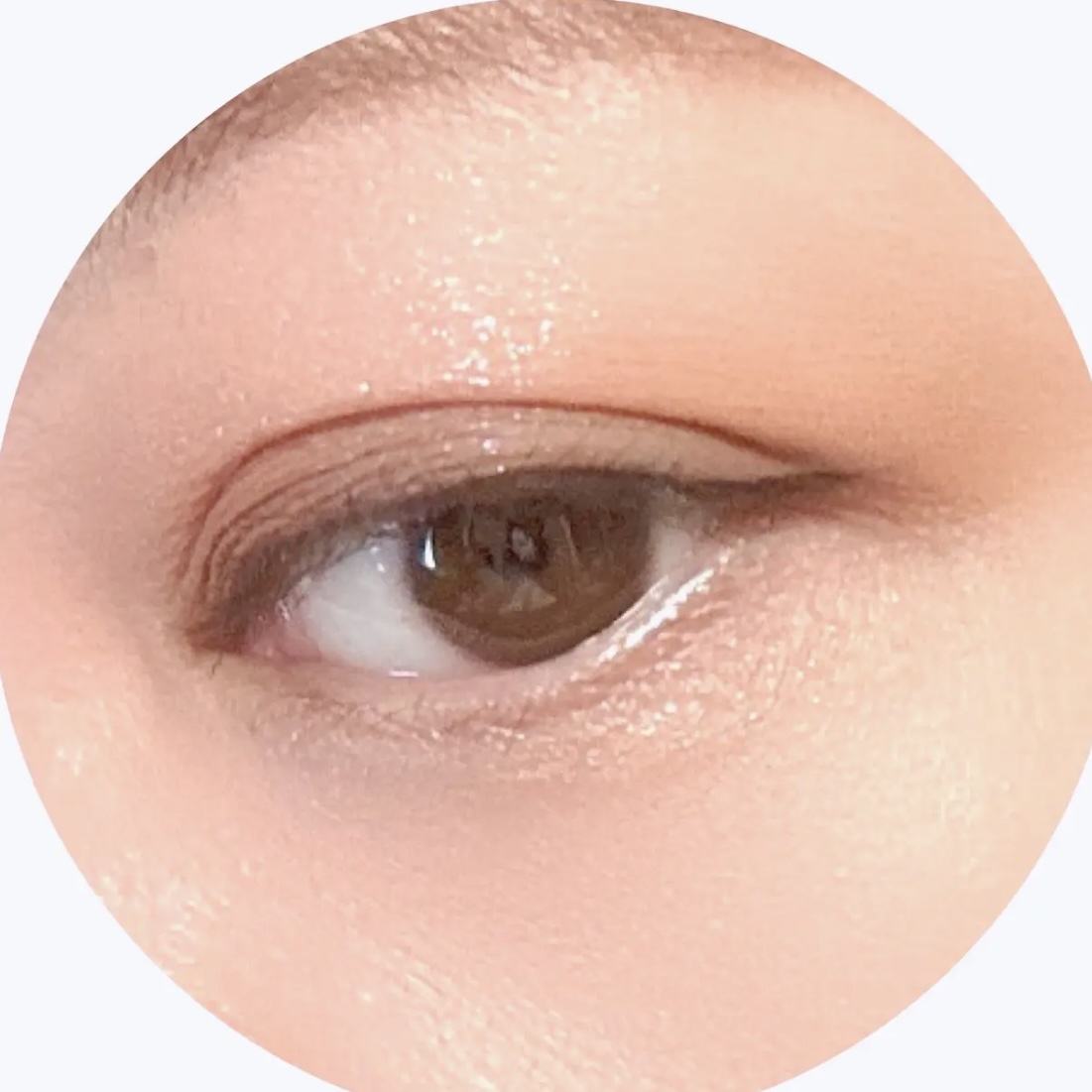 ベターミーアイパレット/2aN/マルチパレットを使ったクチコミ（3枚目）