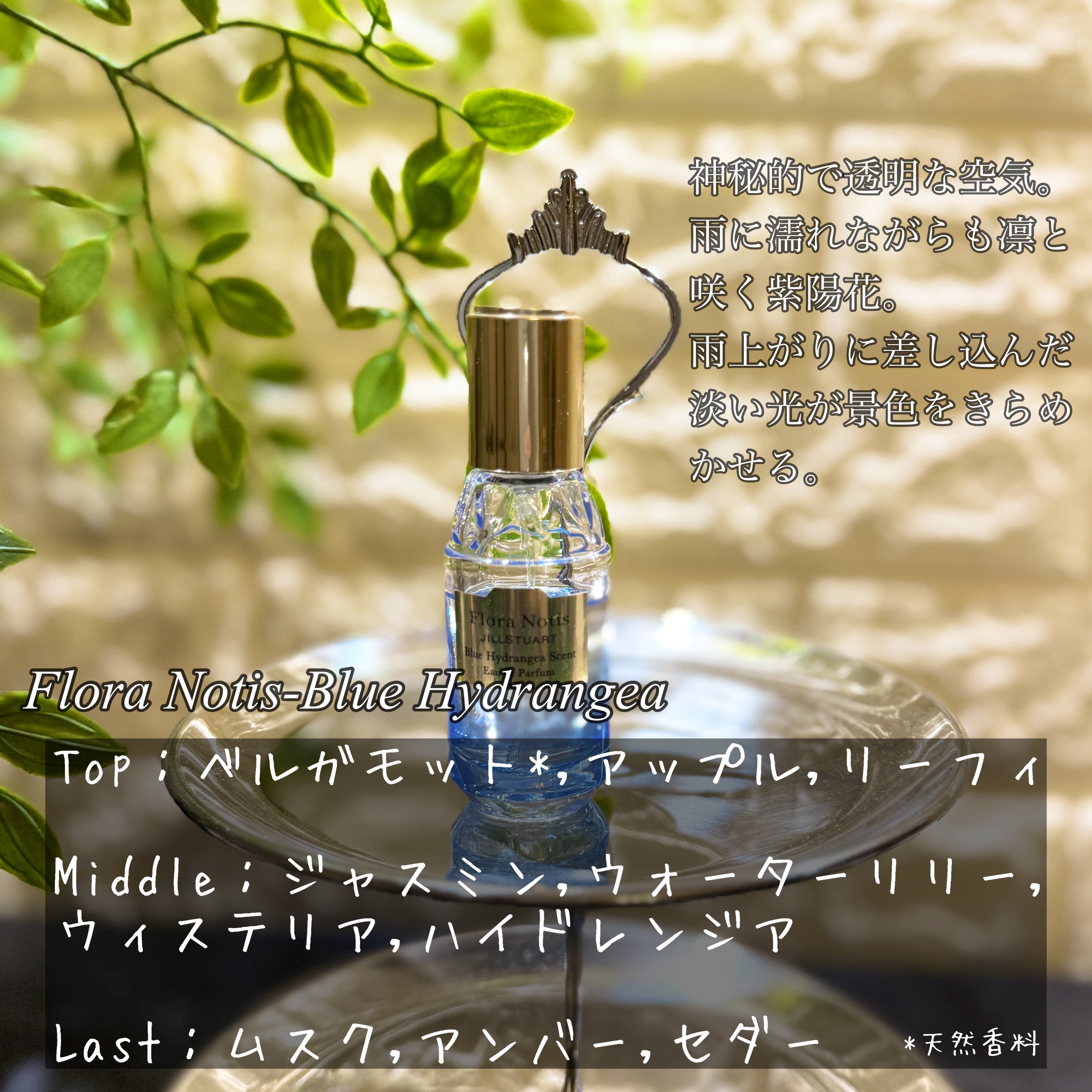 ブルー ハイドレンジア オードパルファン/Flora Notis JILL STUART/香水(レディース)を使ったクチコミ（3枚目）