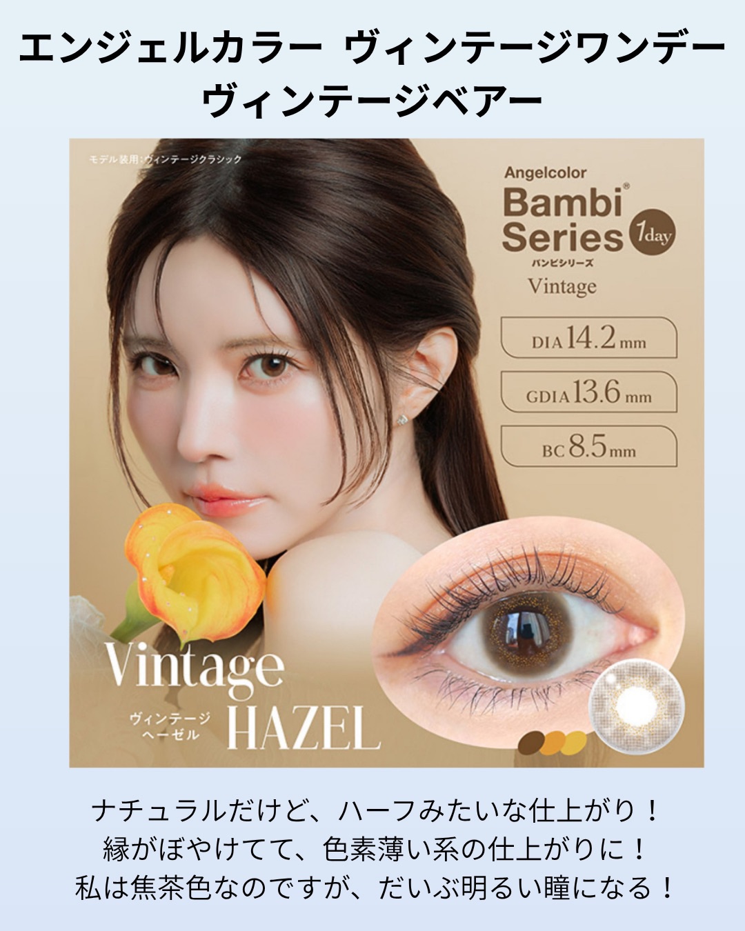 Angelcolor Bambi Series Vintage 1day ヴィンテージベアー/AngelColor/ワンデー（１DAY）カラコンを使ったクチコミ（2枚目）