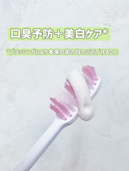 薬用フレッシュペースト【医薬部外品】/歯磨き堂/歯磨き粉を使ったクチコミ(2枚目)