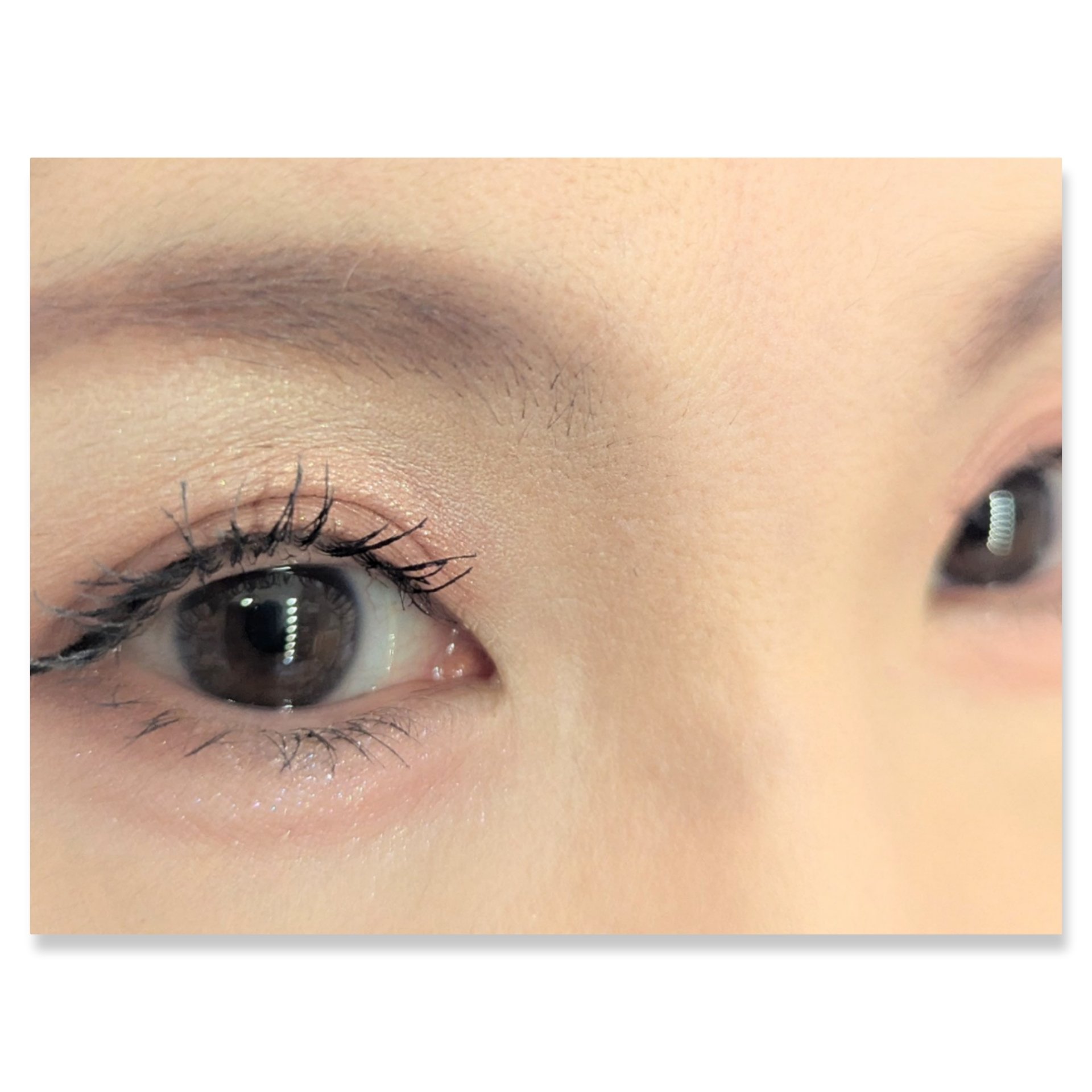 ムードオンアイシャドウ/Lilytone/アイシャドウパレットを使ったクチコミ（2枚目）