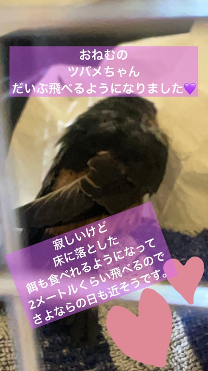 セラム シールド/ONE BY KOSE/フェイスバームを使ったクチコミ(3枚目)