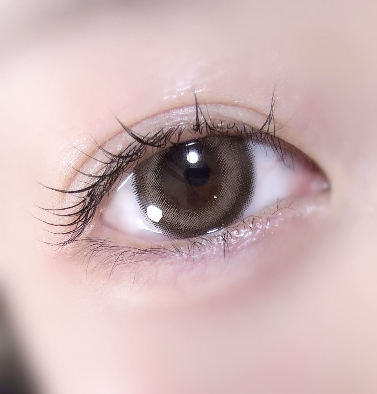 超モテコンウルトラワンデー/モテコン/ワンデー（１DAY）カラコンを使ったクチコミ（1枚目）