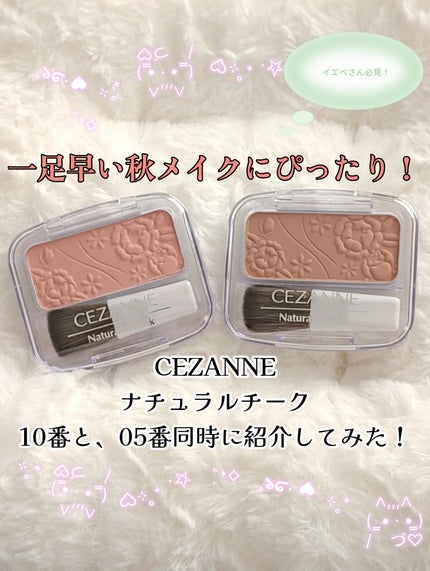 ナチュラル チークN/CEZANNE/パウダーチークを使ったクチコミ(1枚目)