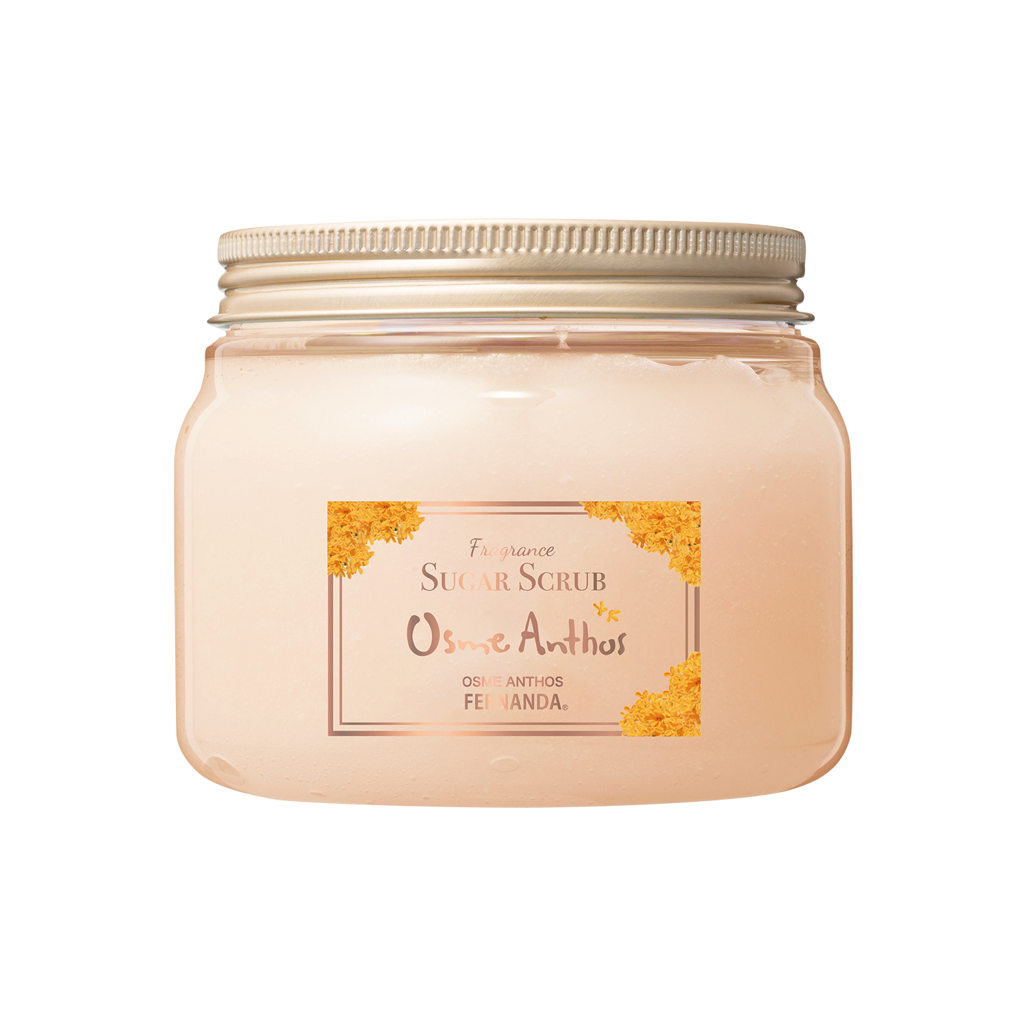 フェルナンダ フレグランスシュガースクラブグランデ（オスメアンソス）