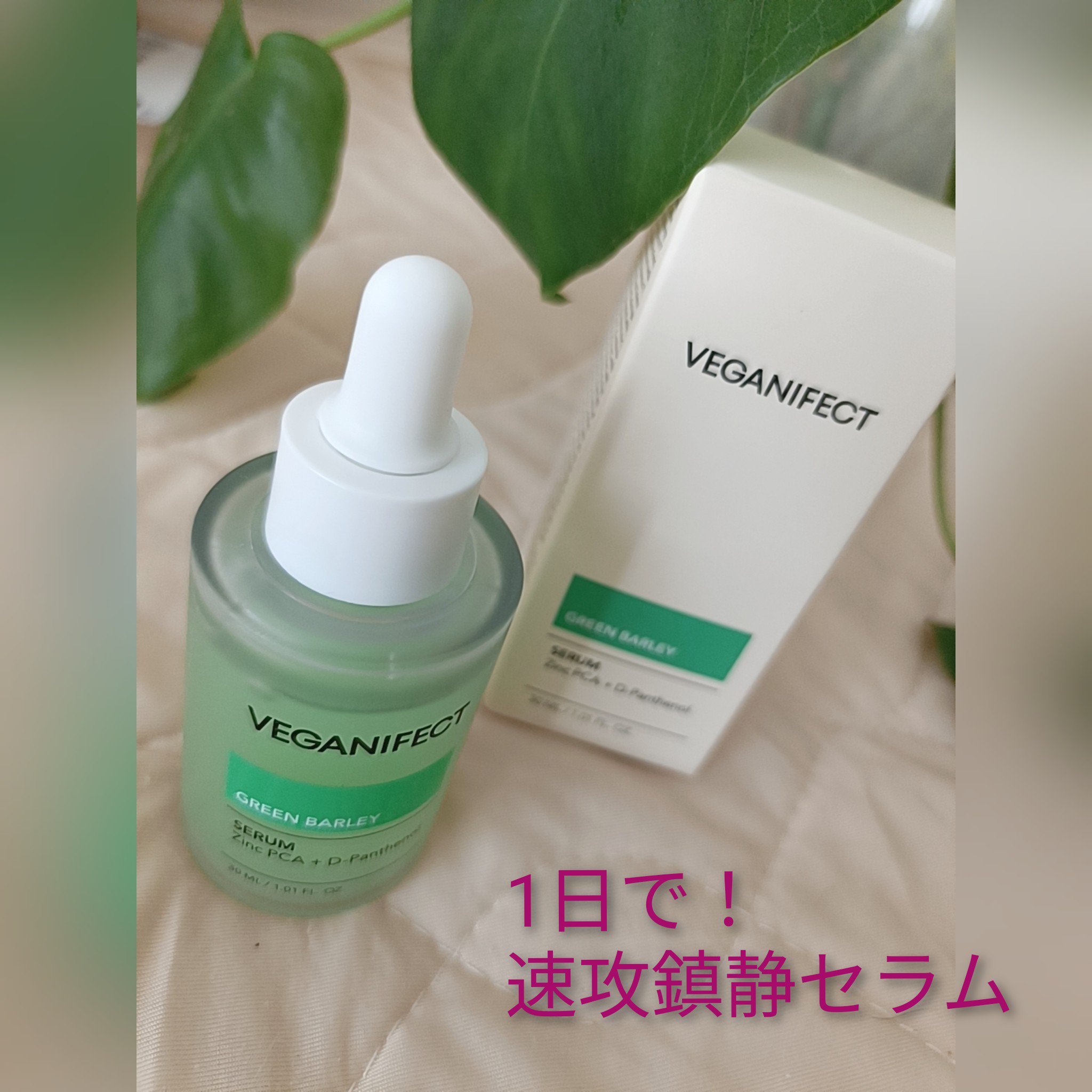 青麦ジンクセラム/Veganifect/美容液を使ったクチコミ（2枚目）