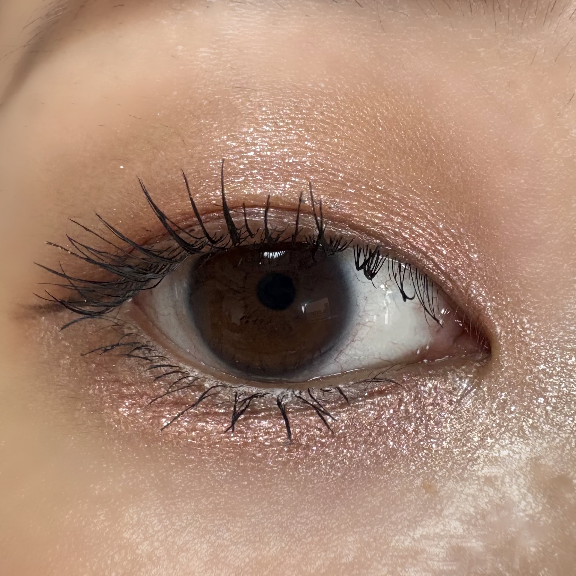 アイスカルプト/shu uemura/アイシャドウパレットを使ったクチコミ（3枚目）