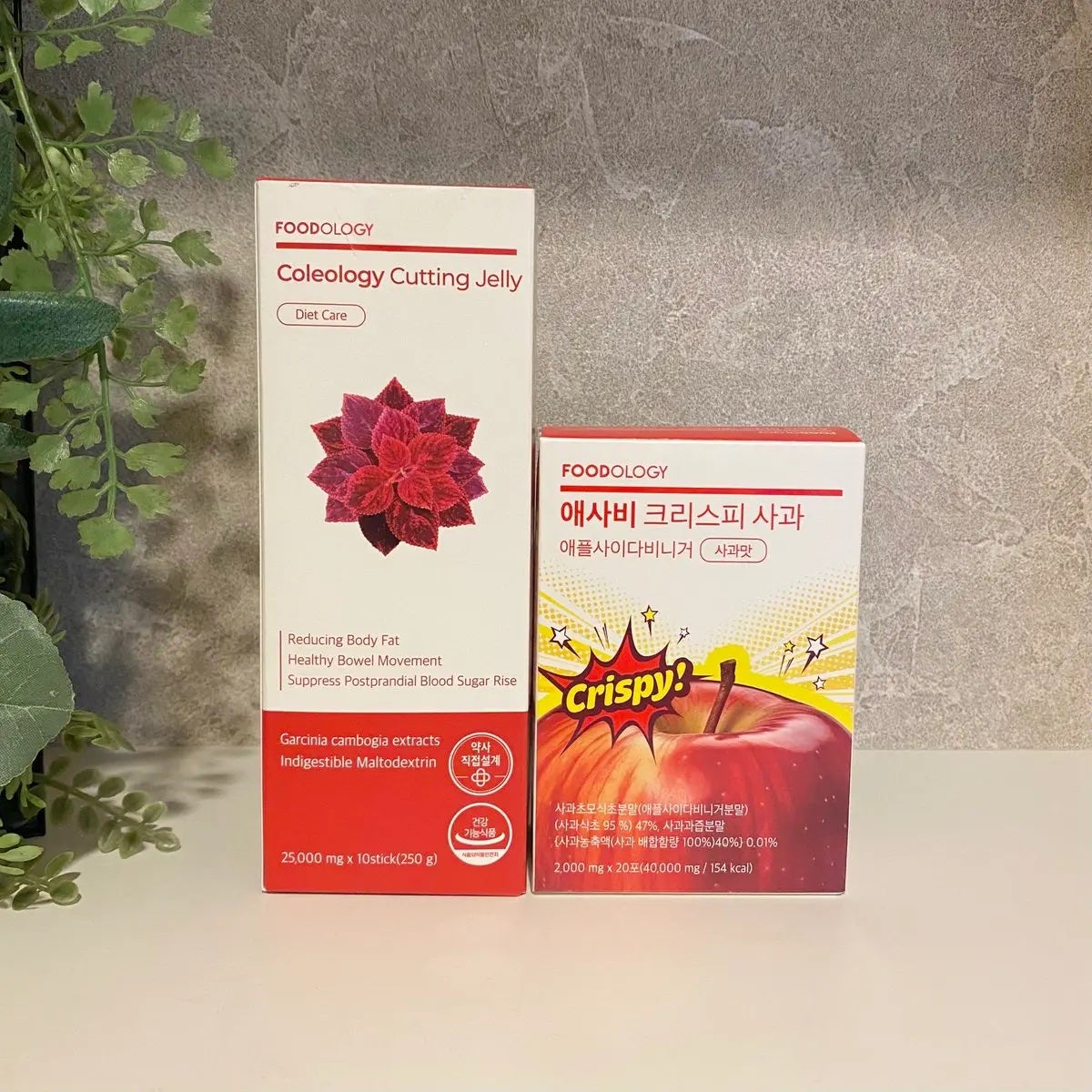 コレオロジーカットゼリー/FOODOLOGY/食品を使ったクチコミ(1枚目)