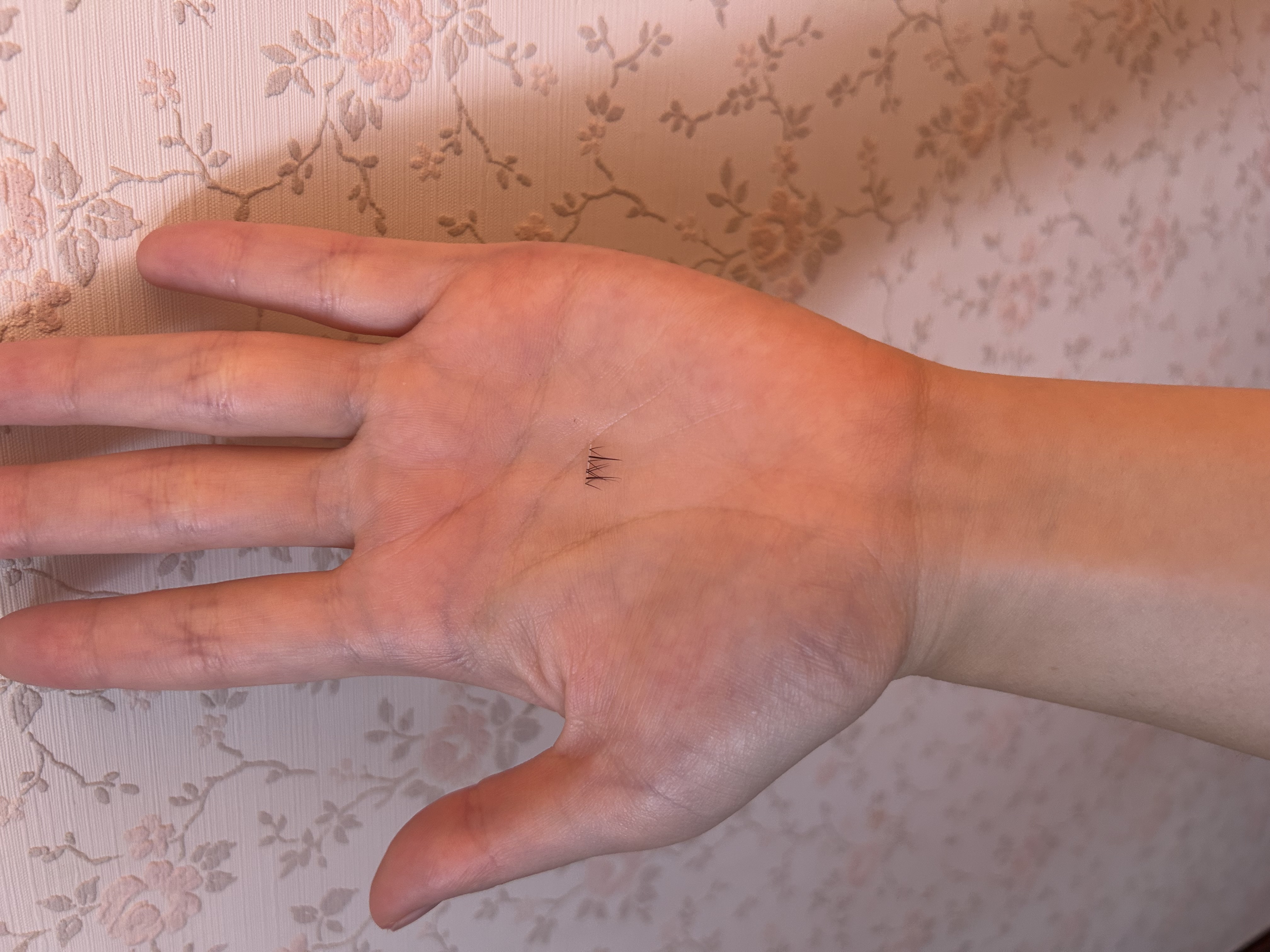 マツエクラッシュ/マツエクラッシュ/つけまつげを使ったクチコミ（1枚目）