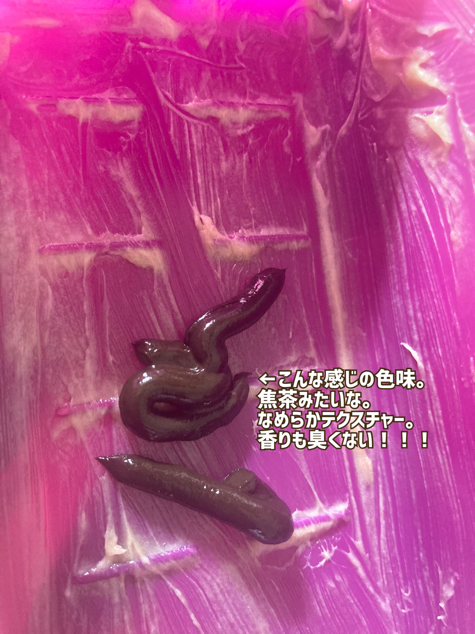 ウエラトーン エッセンスイン カラートリートメント キャラメルブラウン/ウエラ/ヘアカラーを使ったクチコミ（2枚目）