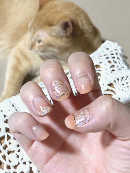 YOSHINO 美容 フォロバ100 on LIPS 「オホーラのネイル💅美しい😍飼い猫も写りたかったようでじっとして..」(1枚目)