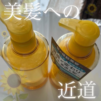 トリートメントリペアミルク/ディアボーテ/ヘアミルクを使ったクチコミ(1枚目)