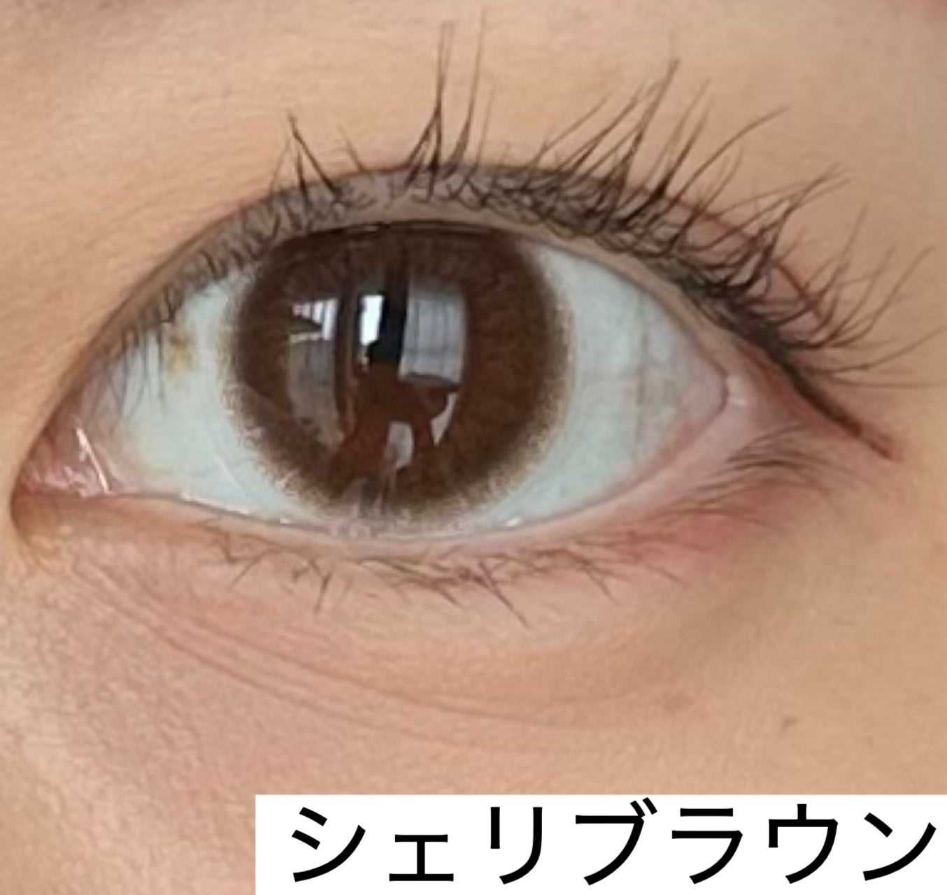 ramurie ラムリエ/ramurie/ワンデー(1DAY)カラコンを使ったクチコミ(1枚目)