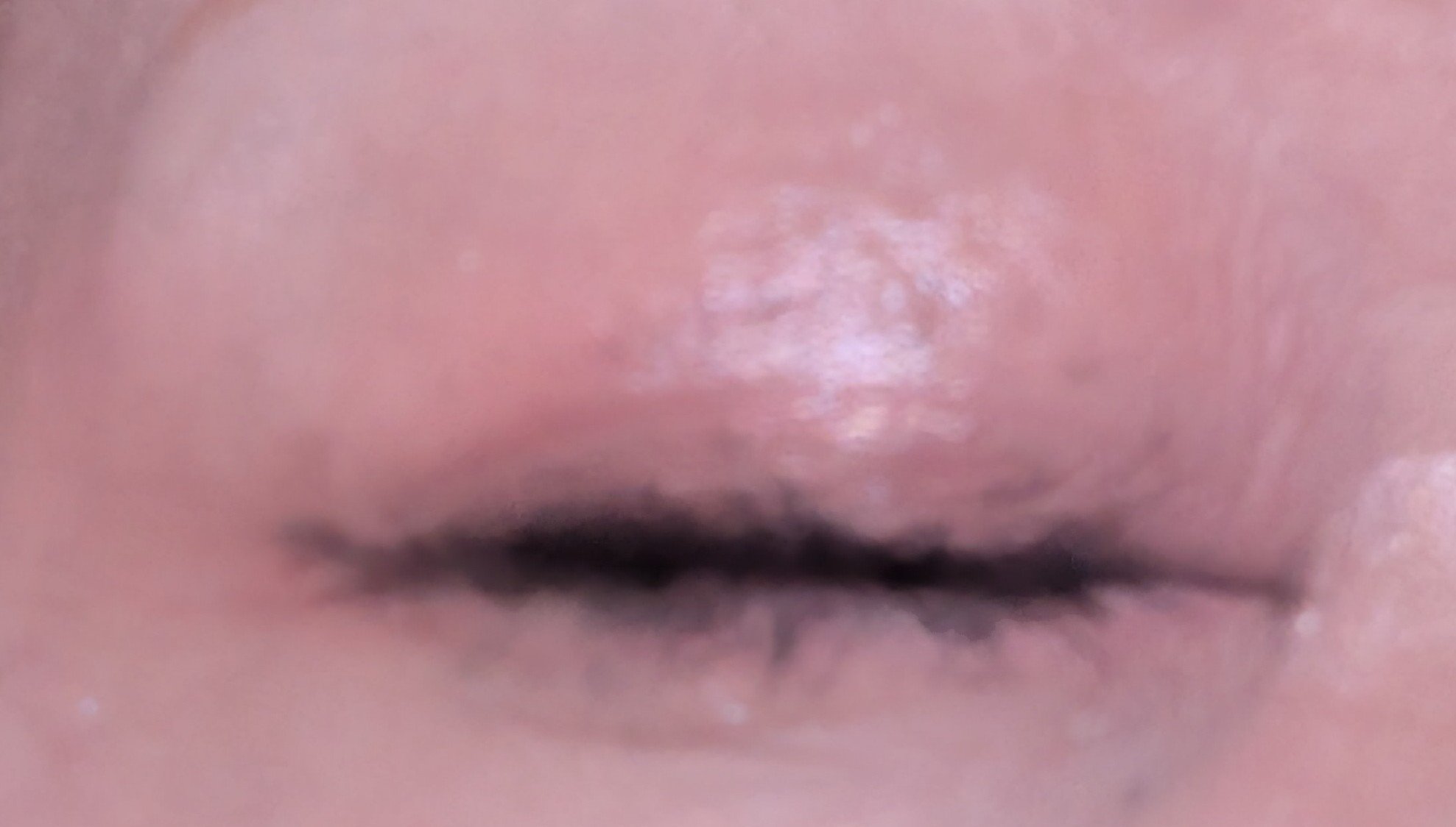 ムードオンアイシャドウ/Lilytone/アイシャドウパレットを使ったクチコミ（3枚目）