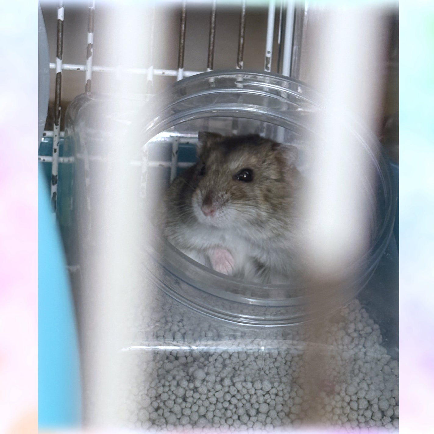 â¥ðð®ð²â¡ð«§ð§žð©° on LIPS ãââââââââââââãã£ã»ãŒããã ããŒïŒä»å2åç®ã®å®£äŒã ..ãïŒ1æç®ïŒ