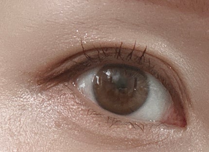 アイシャドウベース/キャンメイク/アイシャドウベースを使ったクチコミ(5枚目)