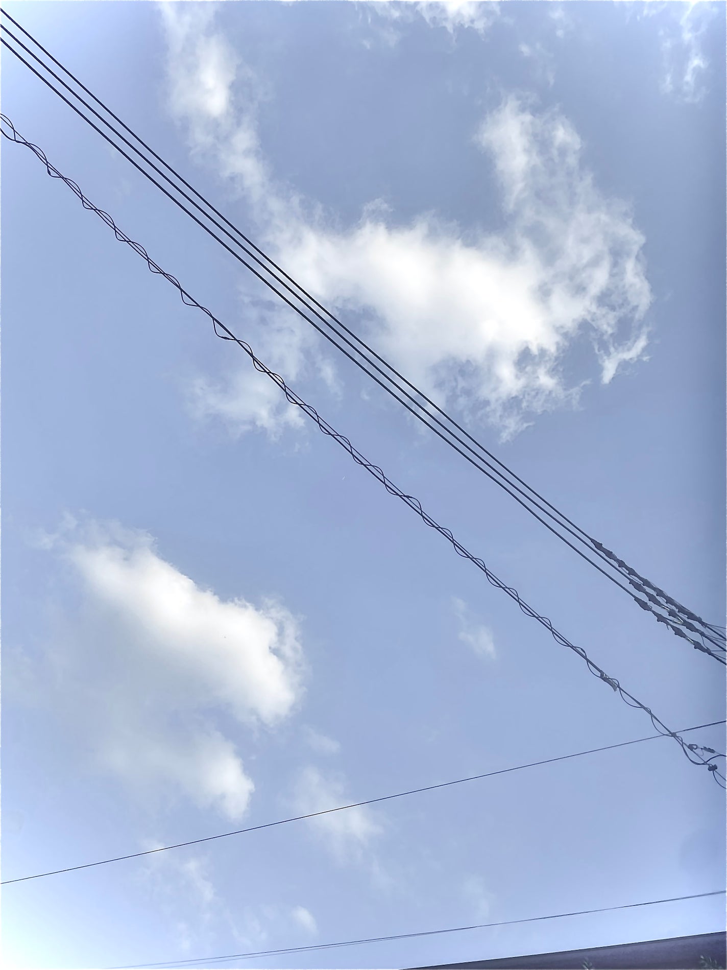 .˚ʚ れ あ ɞ˚.【転生します、引退済み】 on LIPS 「関係者募集中😘姉 🈳妹 🈳双子 🈳彼女(嫁、妻) 🈳彼氏(夫、..」(1枚目)