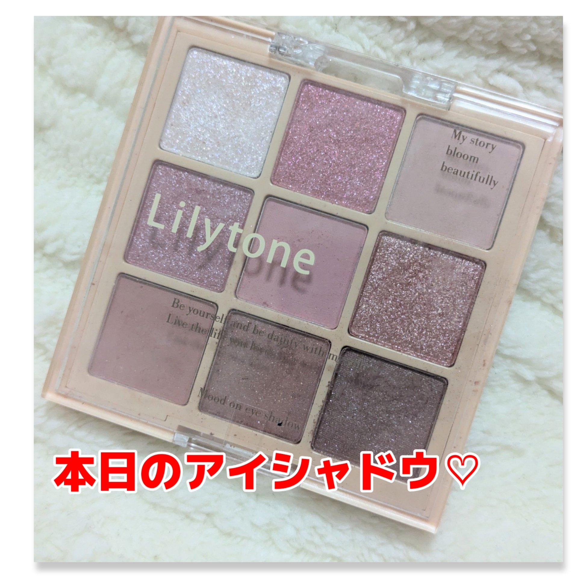 ムードオンアイシャドウ/Lilytone/アイシャドウパレットを使ったクチコミ（1枚目）