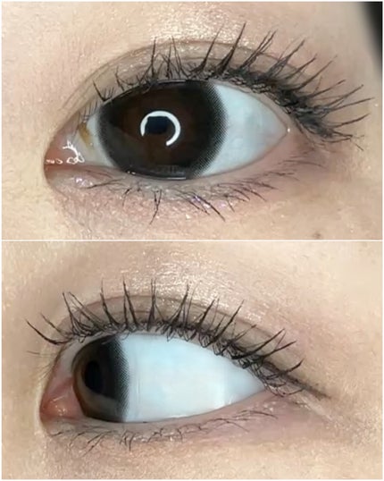 ã©ãã·ã¥ãã¡ã€ã¿ãŒãã«ãŒã«ã¢ãããŒãã¹ã«ã©ãLv50/ã©ãã·ã¥ãã¡ã€ã¿ãŒ/ãã¹ã«ã©ã䜿ã£ãã¯ãã³ãïŒ6æç®ïŒ