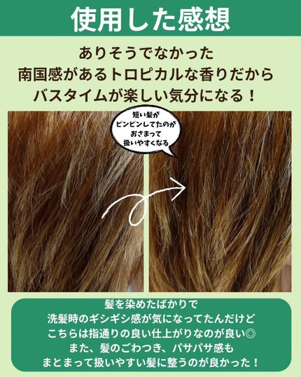 ã¢ã€ã¹ãããŒã¹ãã·ã£ã³ããŒïŒã¢ã€ã¹ãããŒã¹ãããªãŒãã¡ã³ã/MEMEME/åžè²©ã·ã£ã³ããŒã䜿ã£ãã¯ãã³ãïŒ4æç®ïŒ