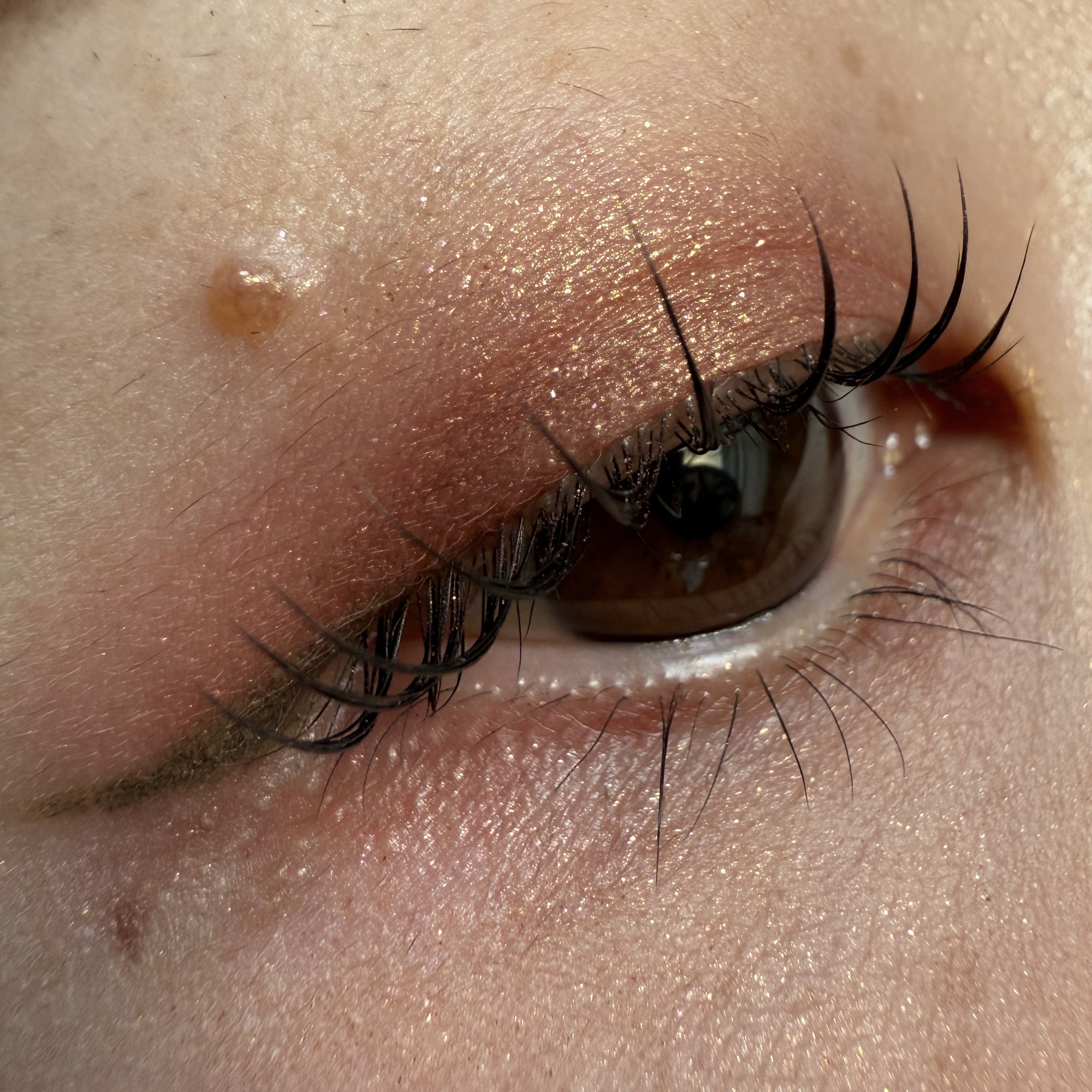 アディクション ザ シングル アイシャドウ ネイキッドシアー/ADDICTION/単色アイシャドウを使ったクチコミ（2枚目）