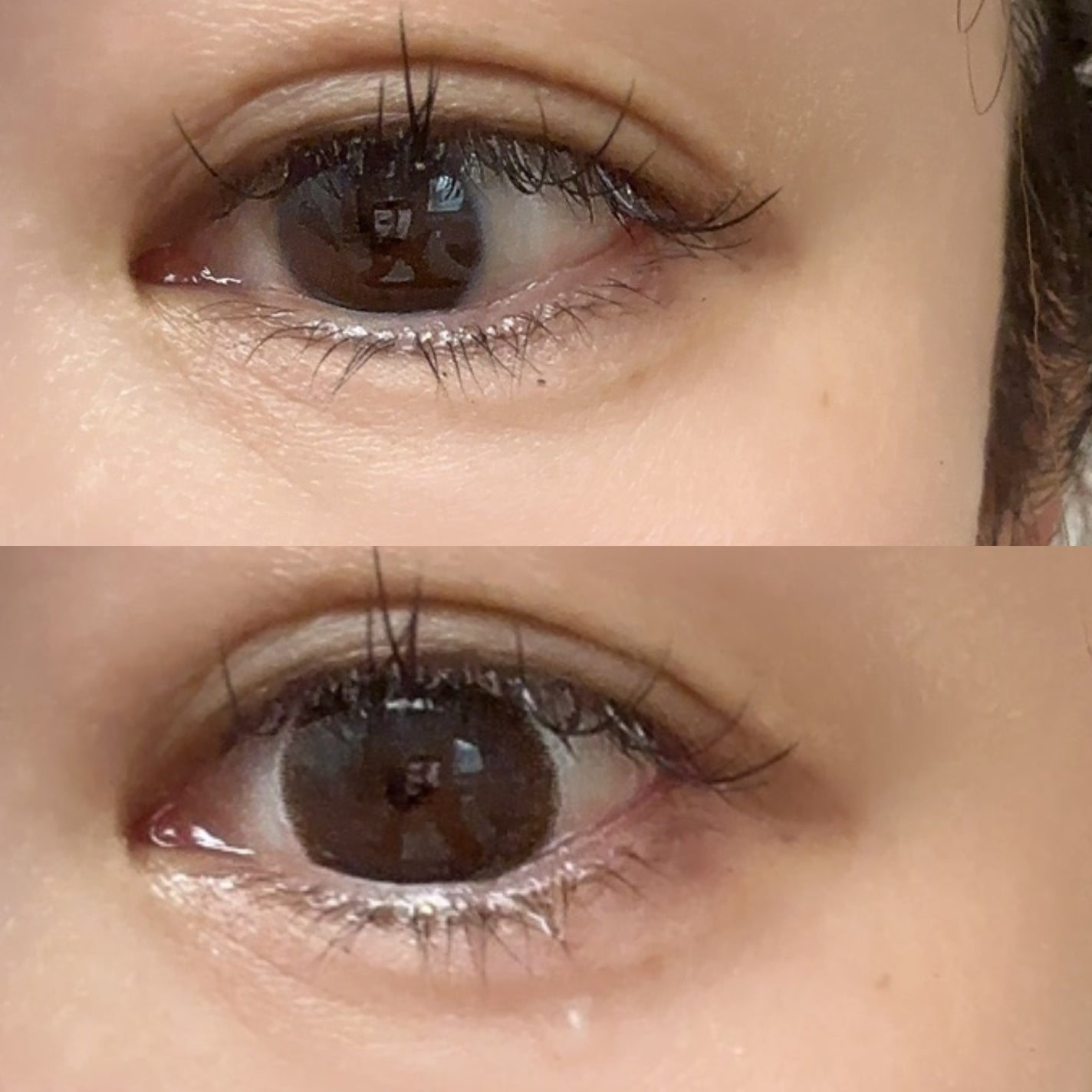 ネオサイトワンデー リングUV/Aire/ワンデー(1DAY)カラコンを使ったクチコミ(2枚目)