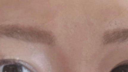 フラッフデザイン アイブロウカラー/Visée/眉マスカラを使ったクチコミ(2枚目)