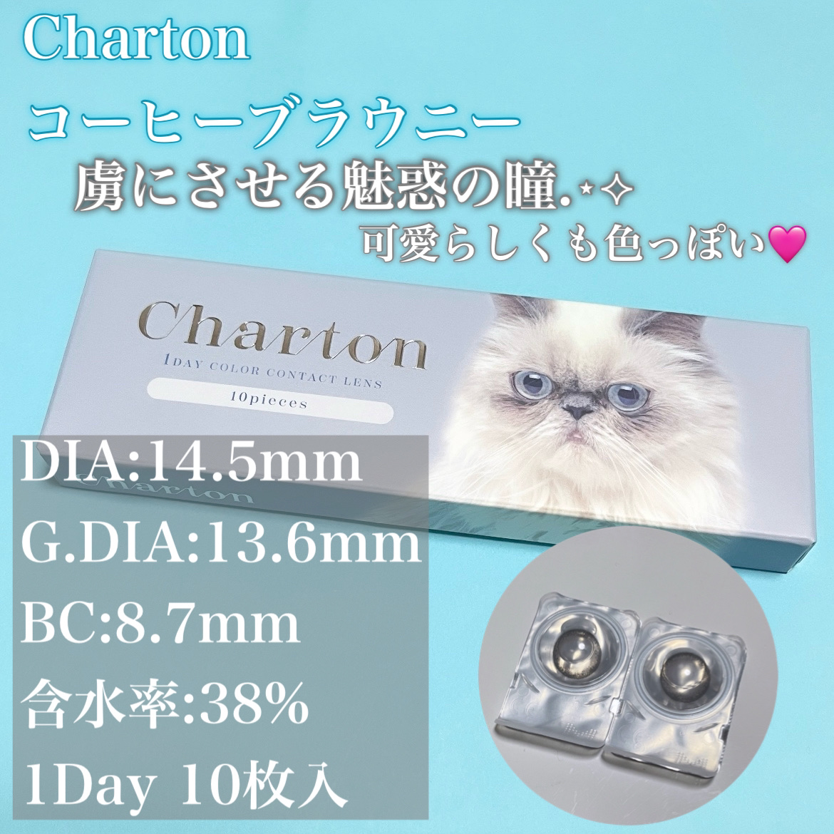 Charton 1day コーヒーブラウニー/Charton/ワンデー（１DAY）カラコンを使ったクチコミ（2枚目）
