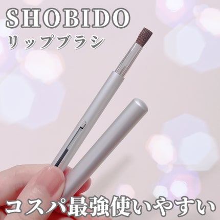 リップブラシ/SHOBIDO/メイクブラシを使ったクチコミ(1枚目)