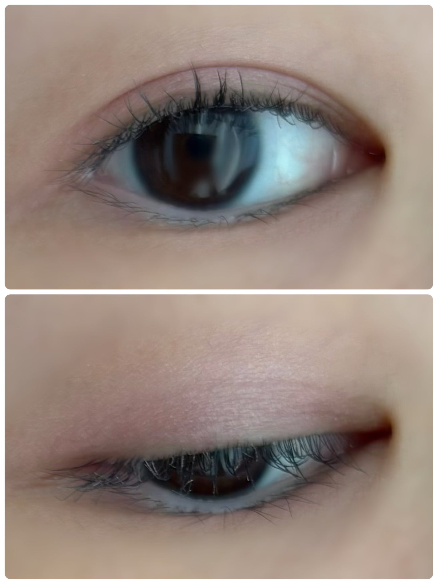 ケイト ポッピングシルエットシャドウ/KATE/アイシャドウパレットを使ったクチコミ(2枚目)