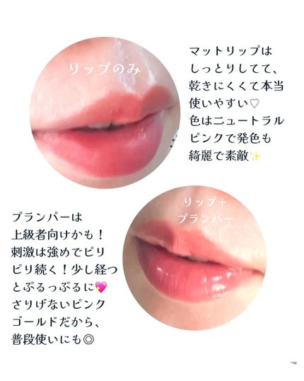 ベルベットシューティント/INGA/リップティントを使ったクチコミ(3枚目)