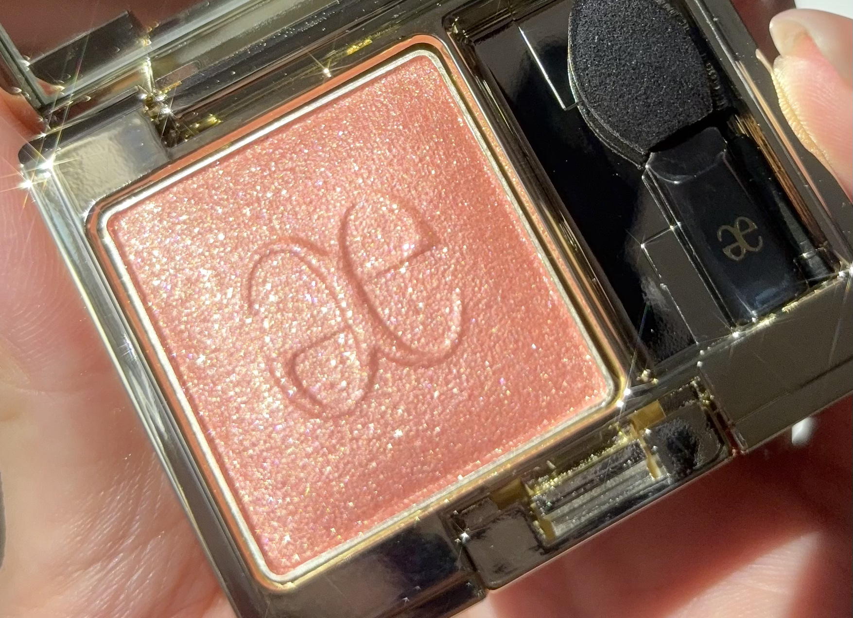 エレガンス プレジール アイズ/Elégance/単色アイシャドウを使ったクチコミ（2枚目）