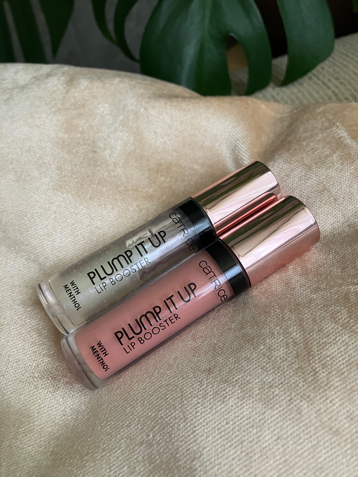プランプ イット アップ リップ ブースター/Catrice/リップグロスを使ったクチコミ（1枚目）