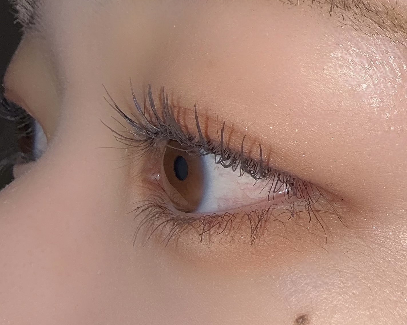 perfect setting mascara /COSNORI/マスカラを使ったクチコミ（2枚目）