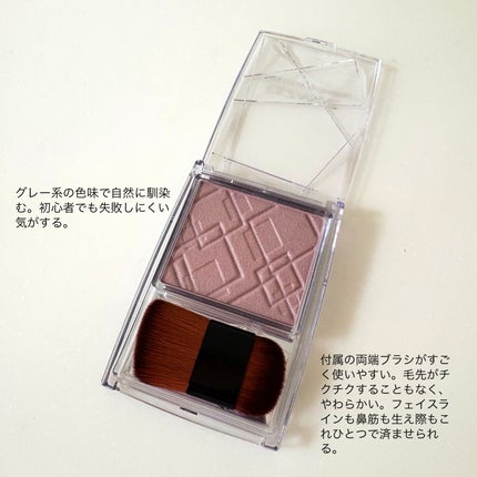 ナチュラルマットシェーディング/CEZANNE/シェーディングを使ったクチコミ(2枚目)