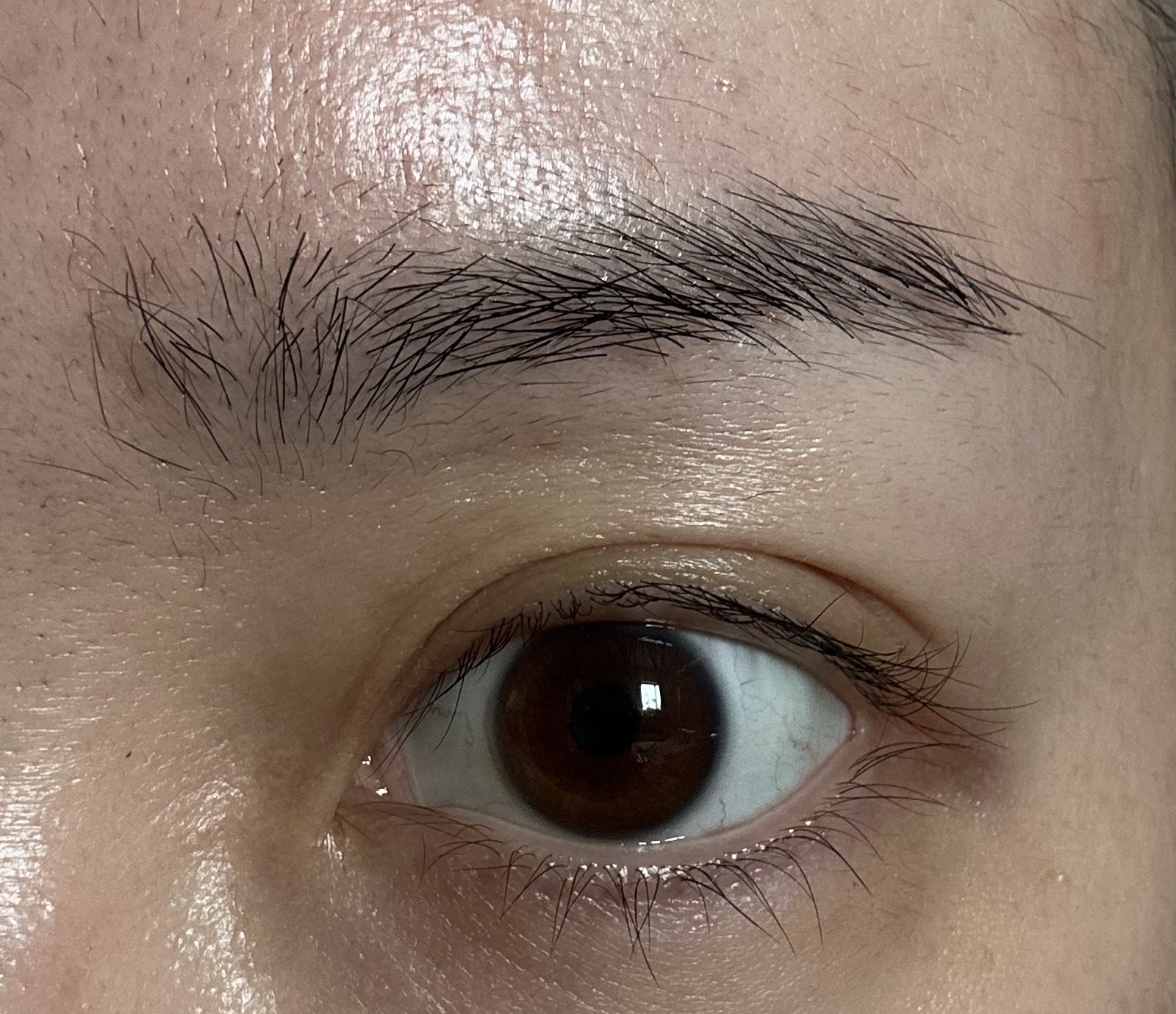 スカイハイ/MAYBELLINE NEW YORK/マスカラを使ったクチコミ（3枚目）