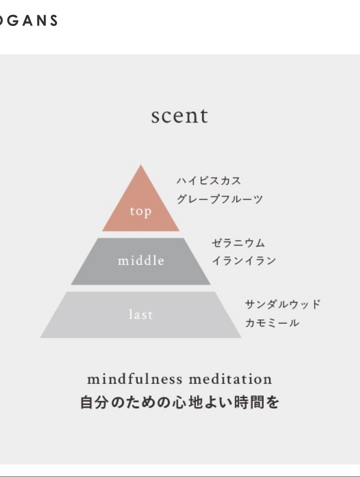 ノンシリコン アミノ酸 シャンプー/コンディショナー白樹(はくじゅ)/MOGANS/市販シャンプーを使ったクチコミ(8枚目)