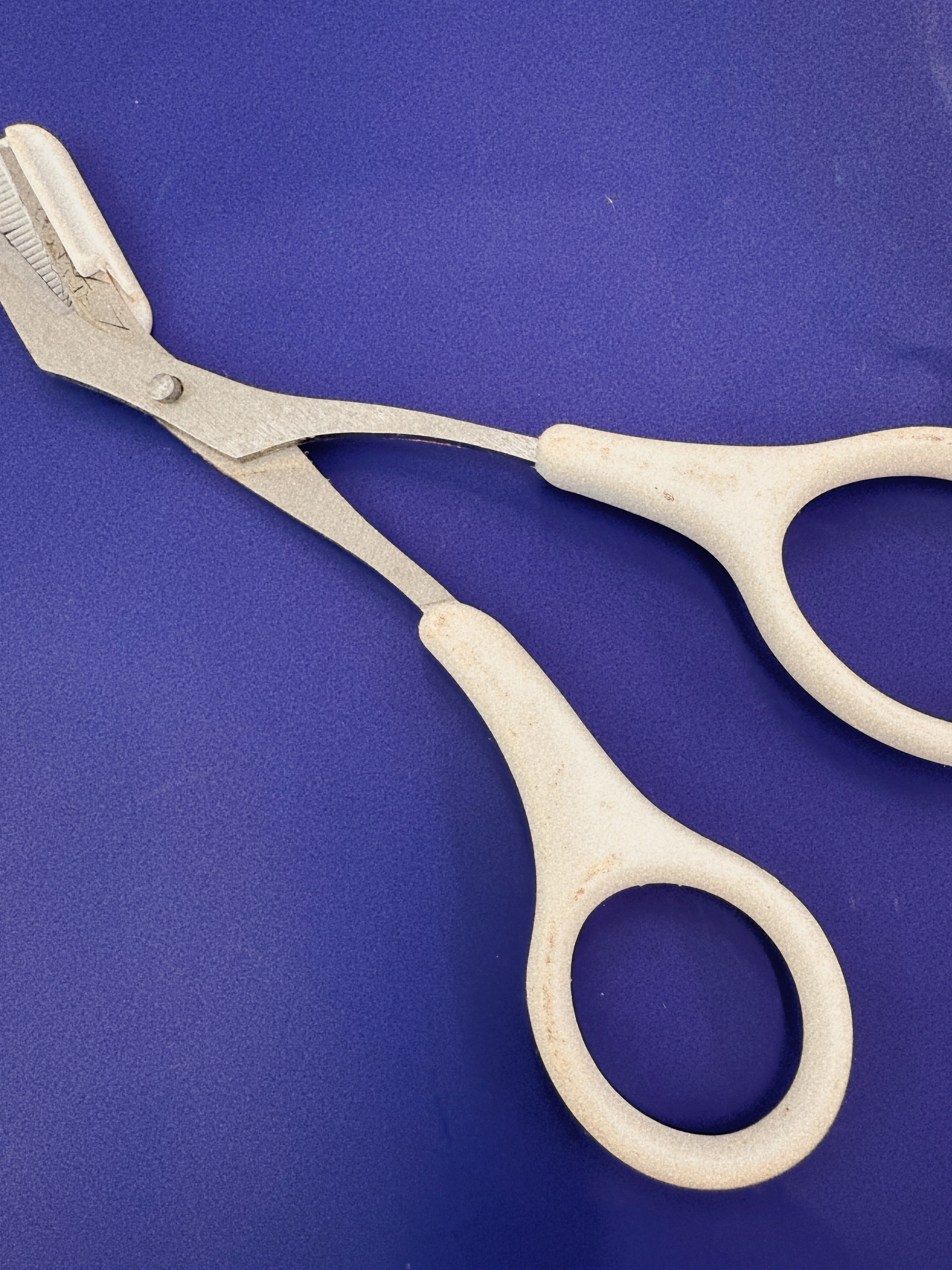 クシ付きマユハサミ（２ＷＡＹ）/貝印/その他化粧小物を使ったクチコミ（1枚目）