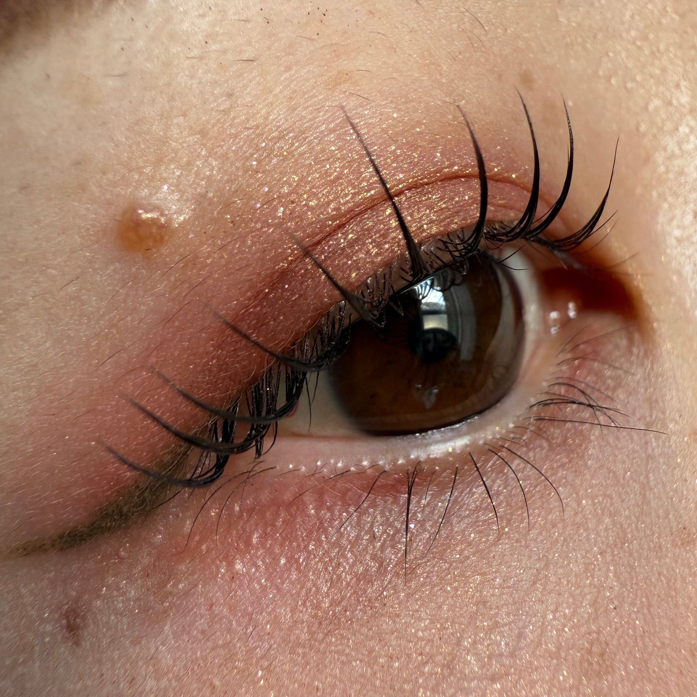 レ ベージュ パレット ルガール/CHANEL/アイシャドウパレットを使ったクチコミ(1枚目)