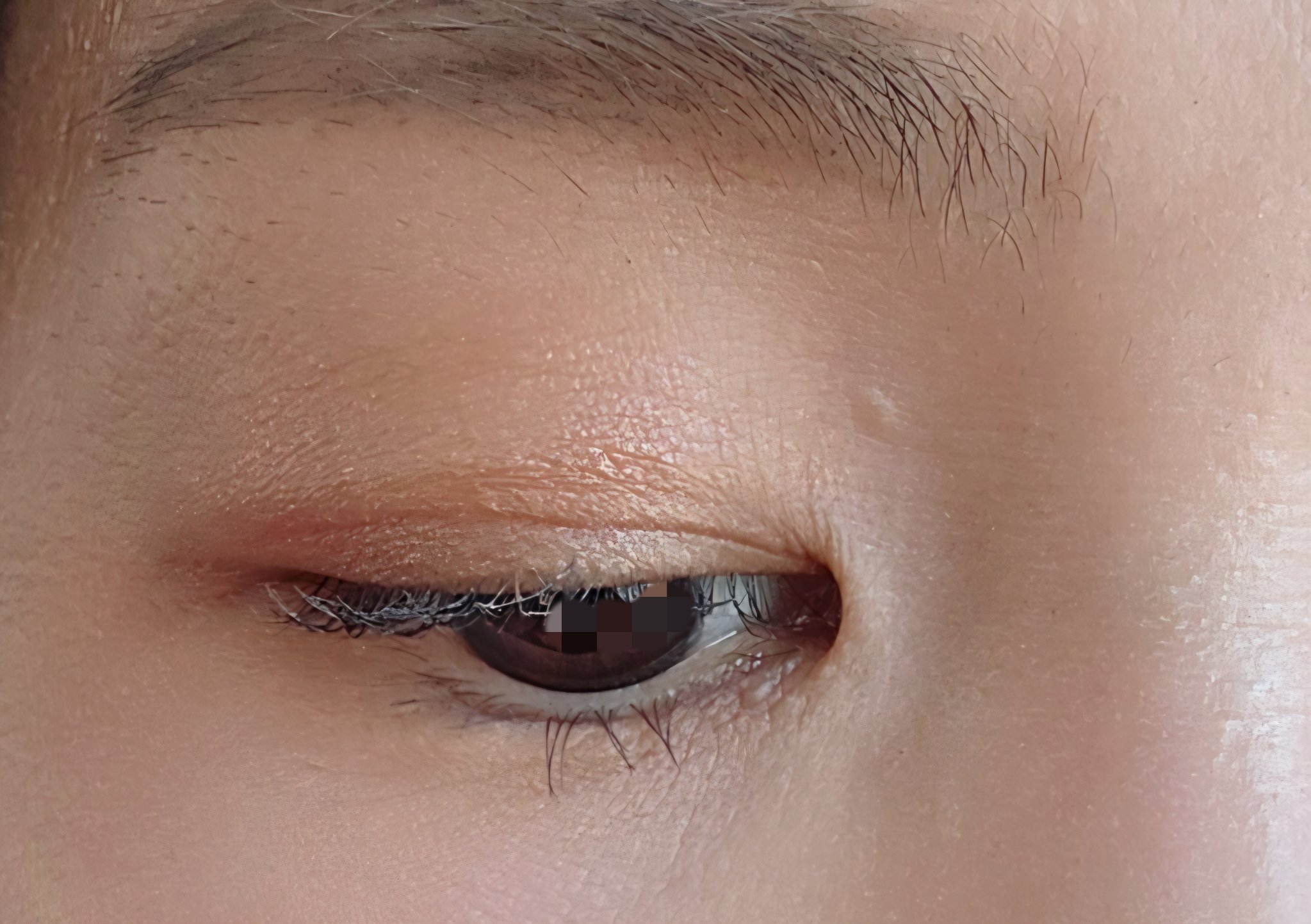 ソフトブラーリングアイパレット/wakemake/アイシャドウパレットを使ったクチコミ（2枚目）