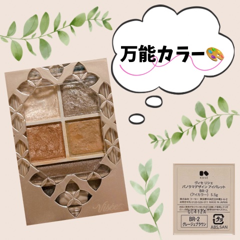 パノラマデザイン アイパレット/Visée/アイシャドウパレットを使ったクチコミ（1枚目）