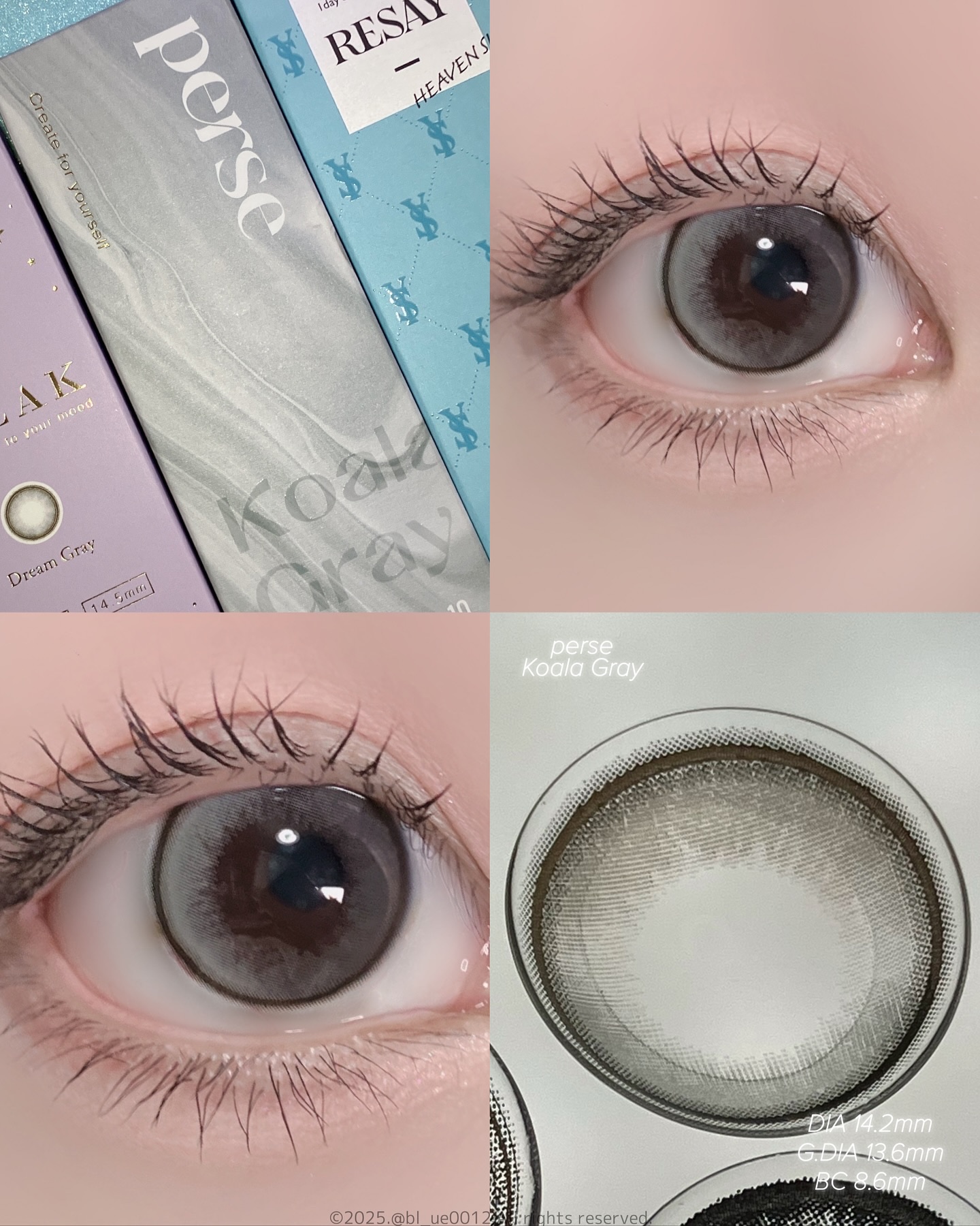 perse 1day コアラグレー/perse/ワンデー（１DAY）カラコンを使ったクチコミ（3枚目）