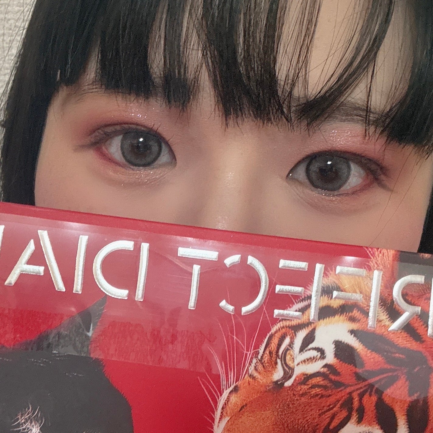 エクスプローラ12色 動物アイシャドウパレット/PERFECT DIARY/アイシャドウパレットを使ったクチコミ(4枚目)