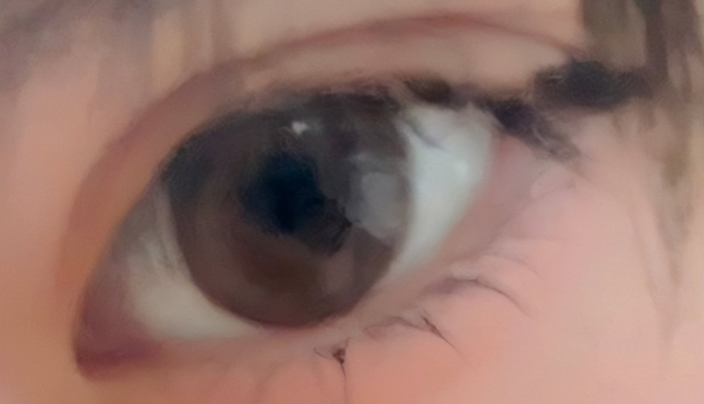 Flurry by colors 1day/Flurry by colors/ワンデー(1DAY)カラコンを使ったクチコミ(3枚目)