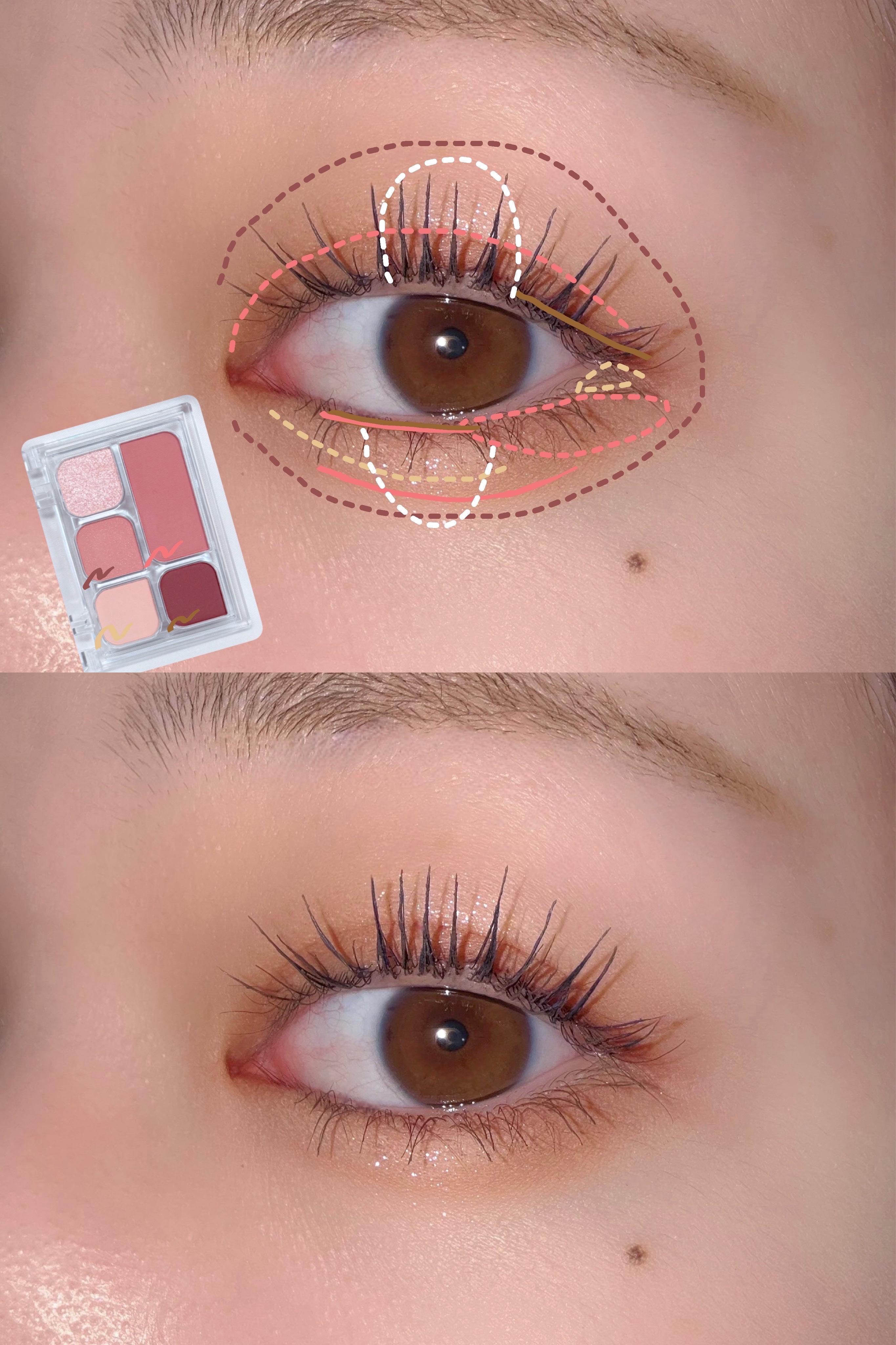 マイモーメントアイパレット/COSNORI/アイシャドウパレットを使ったクチコミ（2枚目）