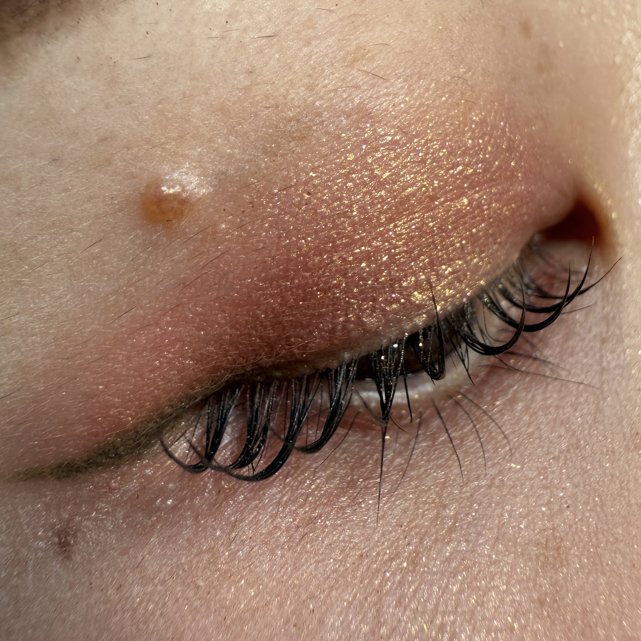 アディクション ザ シングル アイシャドウ ネイキッドシアー/ADDICTION/単色アイシャドウを使ったクチコミ（3枚目）